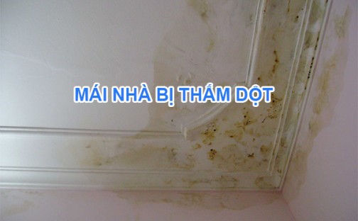 Cách chống thấm mái nhà bê tông bị nứt dột triệt để 100%