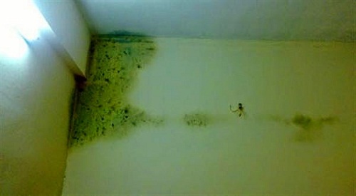 tràn nhà bị thấm dột