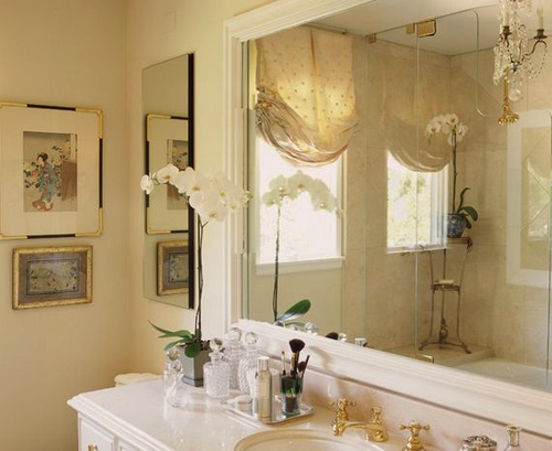 trồng hoa lan trong nhà vệ sinh những loại cây nên trồng