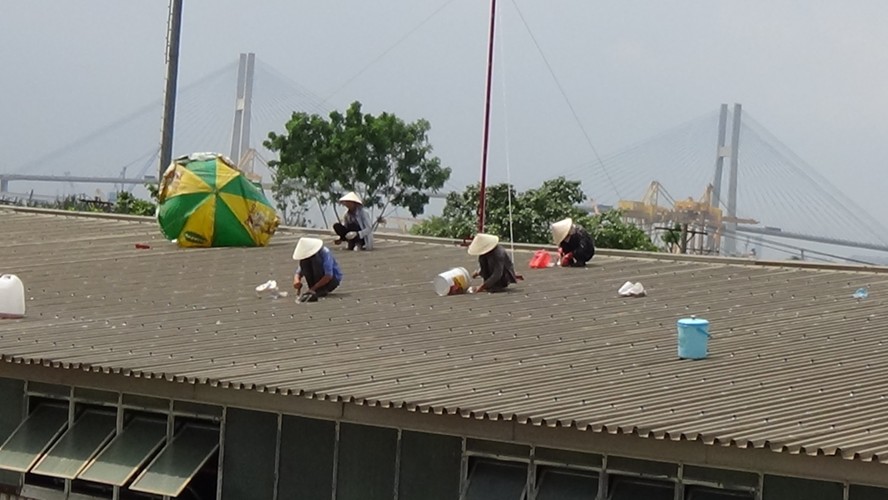 cách thực hiện chống thấm mái tôn bằng sika